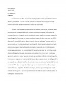 Flashback de fotografía