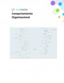 Resumen de comportamiento organizacional