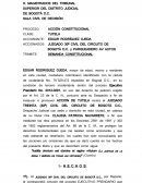 DEMANDA CONSTITUCIONAL