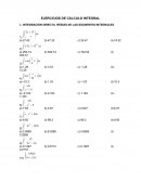 Calculo integral aplicaciones