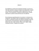 Ensayo primeros 14 artículos de la constitución