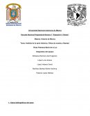 Análisis de la serie histórica: Gritos de muerte y libertad