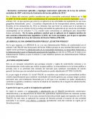 PRÁCTICA 1: BASÁNDONOS EN LA LICITACIÓN