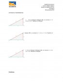 Actividad Trigonometria