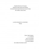 Ensayo: Carrera de un emprededor al consolidar una empresa
