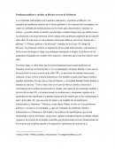 Ensayo actuales problemas politicos y sociales en Mexico