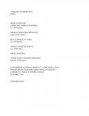 Trabajo colaboraitivo comercio y negocios internacionales.