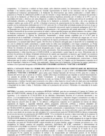 FUNDACION COLOMBO ALEMANA “VOLVER A SONREIR”.. Página 3