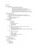 Resumen Ejecutivo: Descripción de la actividad y producto o servicio