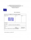 Denominación: EL AMBIENTE Y SU DINÁMICA QUÍMICA