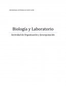 Biología y Laboratorio Actividad de Organización y Jerarquización