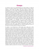 Ensayo sobre Estilos de vida.