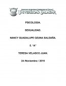 Diagnostico de las disfunciones