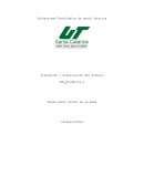 Estructura organizacional de la empresa AutoZone