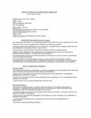 PROYECTO ANUAL DE FLEXIBILIZACIÓN CURRICULAR