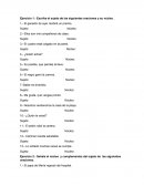 Ejercicio 1.- Escriba el sujeto de las siguientes oraciones y su núcleo