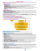 Mercadotecnia Estrategica. Componentes de la Estrategia: