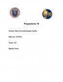 Reseña sobre la historia de las cosas