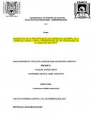 DIAGNOSTICO DE LA PERCEPCIÓN CULTURAL