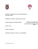 FUNDAMENTOS DEL COMPORTAMIENTO ORGANIZACIONAL. JUSTICIA