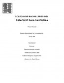 Grupo: 604 “Alcoholismo”