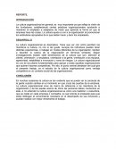 CULTURA ORGANIZACIONAL Y EL ENTORNO EMPRESARIAL