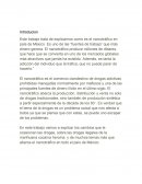 El narcotráfico en país de México