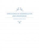 Direcciones de desarrollo en una universidad