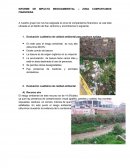 INFORME DE CALIDAD AMBIENTAL
