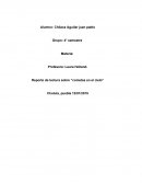 Reporte de lectura sobre “cometas en el cielo”