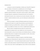 Introducción comprensión lectora