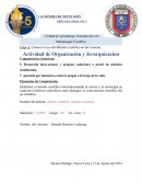 Actividad de Organización y Jerarqizacion Metdologia.