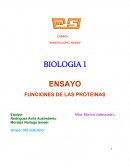 Funciones de las proteinas.