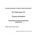 Experimento casero de separación “electrolisis”