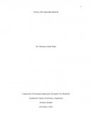 Seguridad industrial el concepto