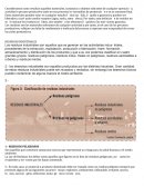 Residuos industriales.
