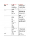 Actividad de adquisición del conocimiento literatura etapa.