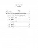 MANUALDE USUARIO “BUSCAMINAS”