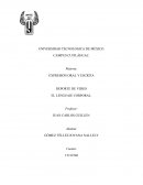 EL LENGUAJE CORPORAL.