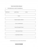 Informe Final de Práctica Profesional