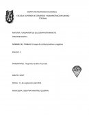 Ensayo de actitud positiva y negativa