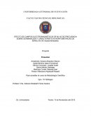 Efecto de campos electromagneticos en plantas de mezquite.