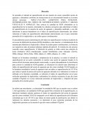 Discusión y conclusion practica