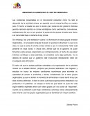 Amazonas clandestino. El oro en Venezuela
