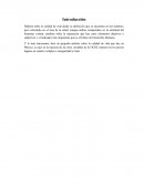 ENSAYO CALIDAD DE VIDA.