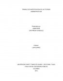 TRABAJO DE INVESTIGACION DE LAS TEORIAS ADMINISTRATIVAS