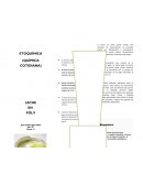 ETOQUÍMICA