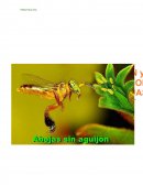 MIEL DE ABEJAS MELIPONAS