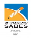 Sistema político mexicano, Actividad 1