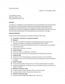 Informe del analista